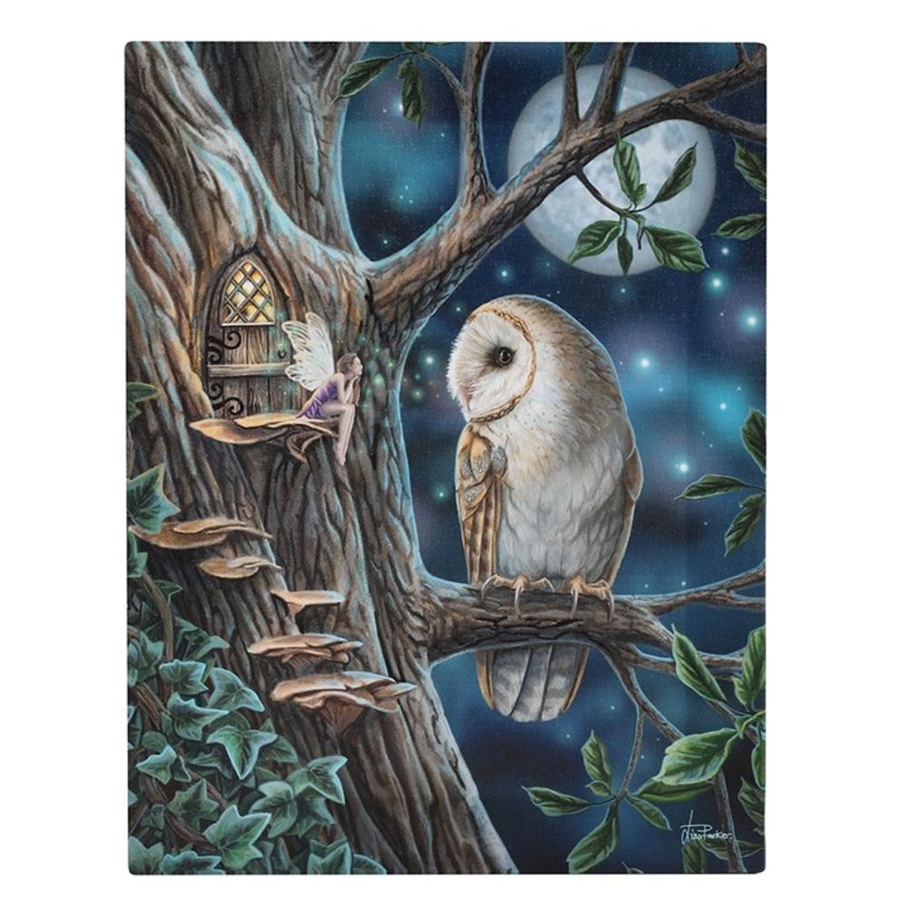 A large barn owl perches on a tree branch at night, facing a small fairy by a tiny door. This magical scene, inspired by Lisa Parker’s fairy tales, glows beneath the full moon—perfect for a canvas plaque.
