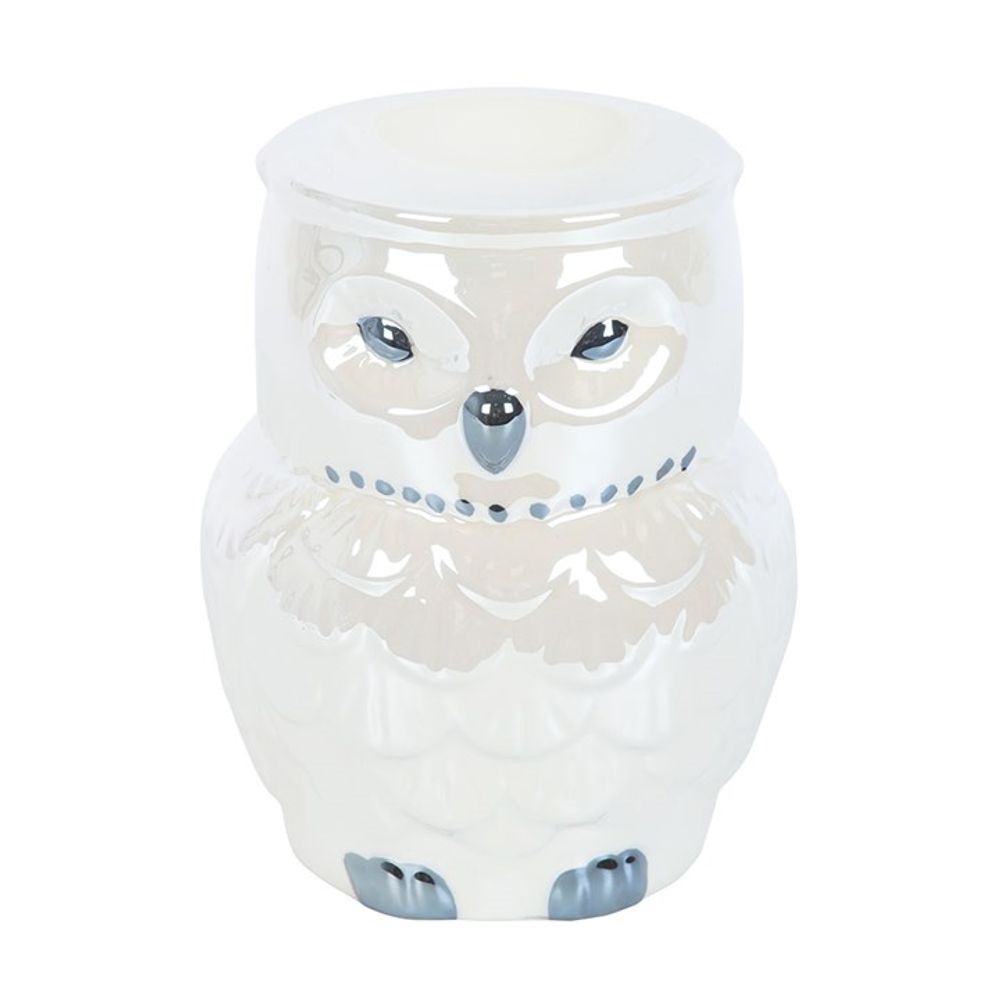 An owl oil burner with a white ceramic body displays detailed feathers and blue-grey accents on the eyes, beak, and feet. The top dish is ideal for wax melts or essential oils. This tranquil owl features an iridescent glaze and half-closed eyes for a calming touch.