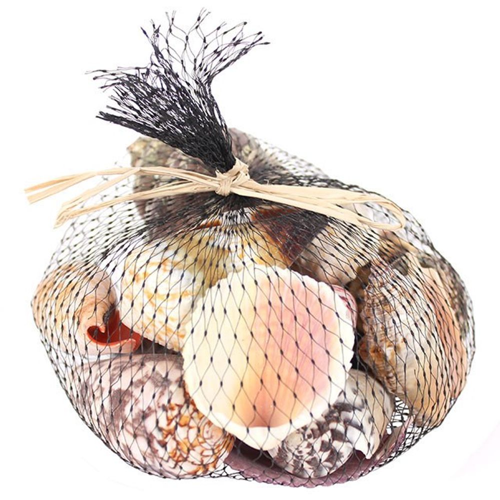 A collection of sea shells is tightly bundled in a black net bag, secured with a straw tie. Perfect for home decor, the shells vary in size and display colours like white, pink, and brown, featuring diverse patterns and textures.