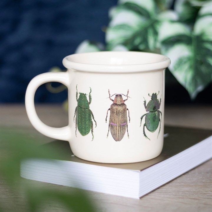 Enchanting Beetles