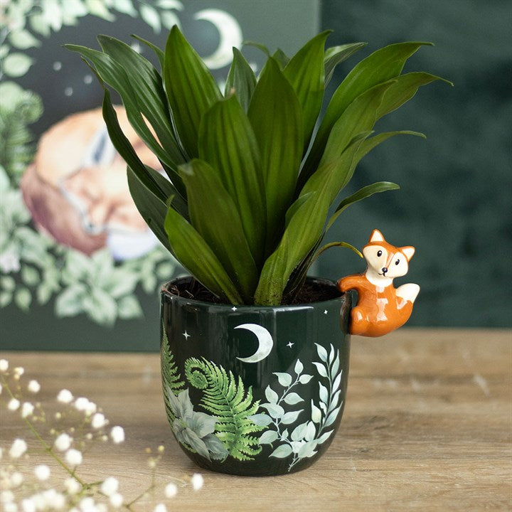 A leafy green plant in a ceramic plant pot decorated with the moon, stars, and ferns. A three-dimensional fox figurine clings to the rim. A blurred print of forest foliage and an illustration of a fox appear in the background.