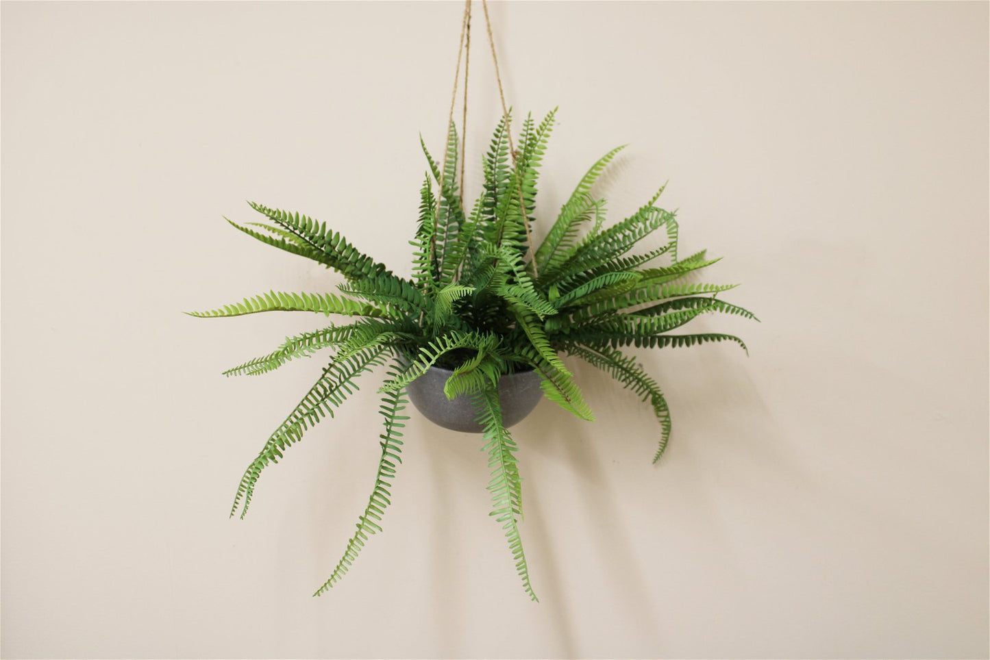 Hanging Fern In Pot