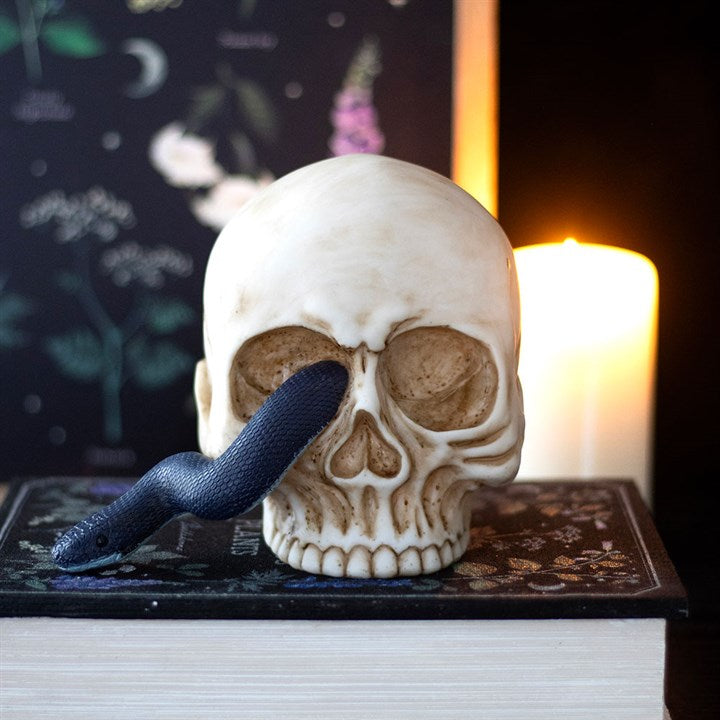 A realistic skull design rests atop an ornate book, while a serpent weaving through its eye socket adds intrigue. A softly glowing candle and a botanical illustration book complete the atmospheric scene. (British English rewrite:) A realistic skull sits atop an ornate book, with a serpent winding through its eye socket to add intrigue. A softly glowing candle and a botanical illustration volume complete the atmospheric scene.