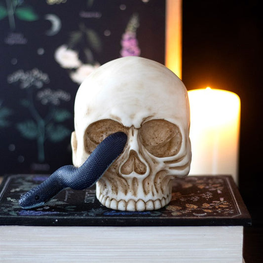 A realistic skull design rests atop an ornate book, while a serpent weaving through its eye socket adds intrigue. A softly glowing candle and a botanical illustration book complete the atmospheric scene. (British English rewrite:) A realistic skull sits atop an ornate book, with a serpent winding through its eye socket to add intrigue. A softly glowing candle and a botanical illustration volume complete the atmospheric scene.