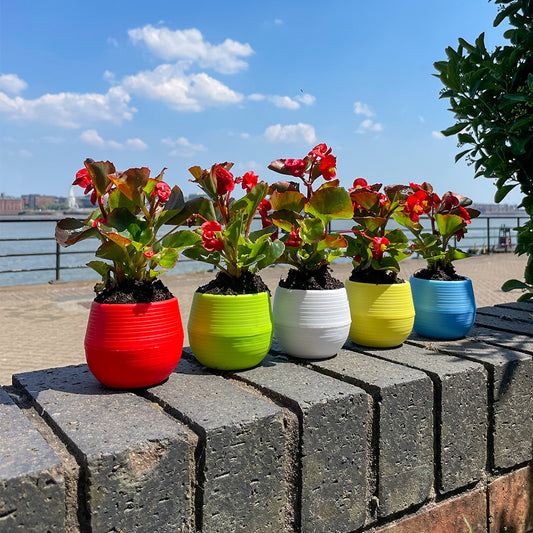 Cute Colourful Round Plastic Plant Pots - Set of 5