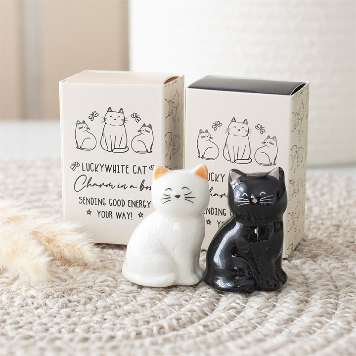 Two ceramic lucky cat charms, one white with orange ears and one black, sit side by side on a textured surface. Behind them are two boxes featuring cartoon cat illustrations and uplifting messages—a perfect good luck gift.