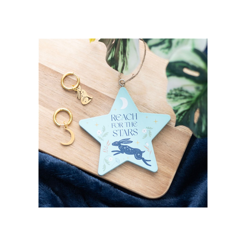 Reach for the Stars Hare Hanging Decoration