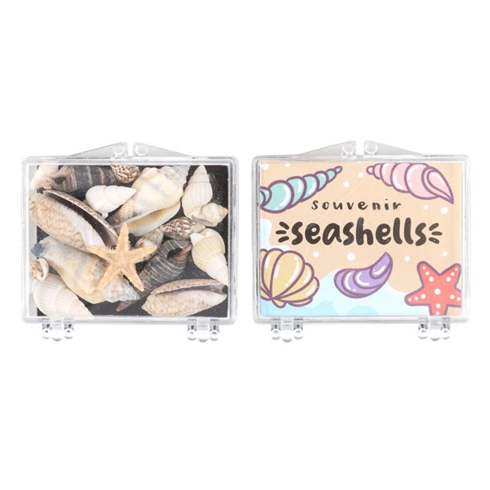Set of 48 Souvenir Sea Shell Boxes