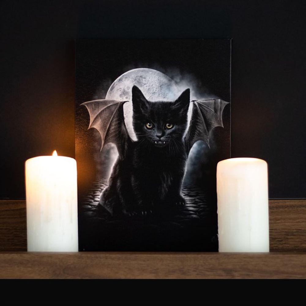 19x25cm Bat Cat Canvas Plaque by Spiral Direct