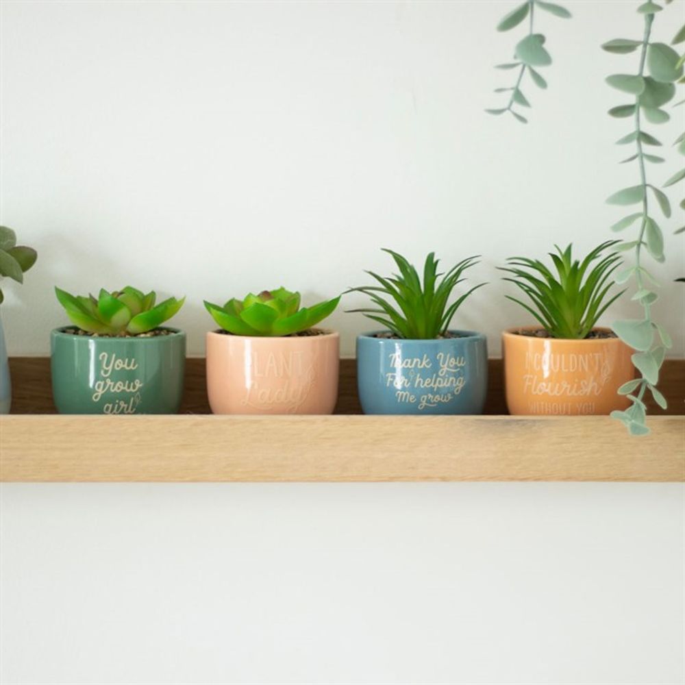 Set of 16 Mini Plant Pots with Artificial Plant