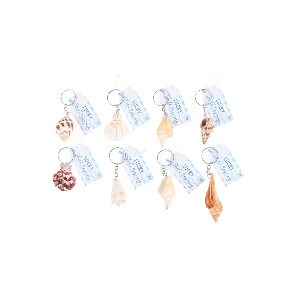 Set of 36 Resin Seashell Keyrings in Display